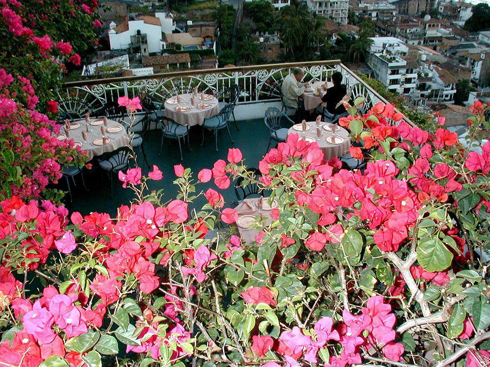 Hotel Suites La Siesta Puerto Vallarta Exterior foto